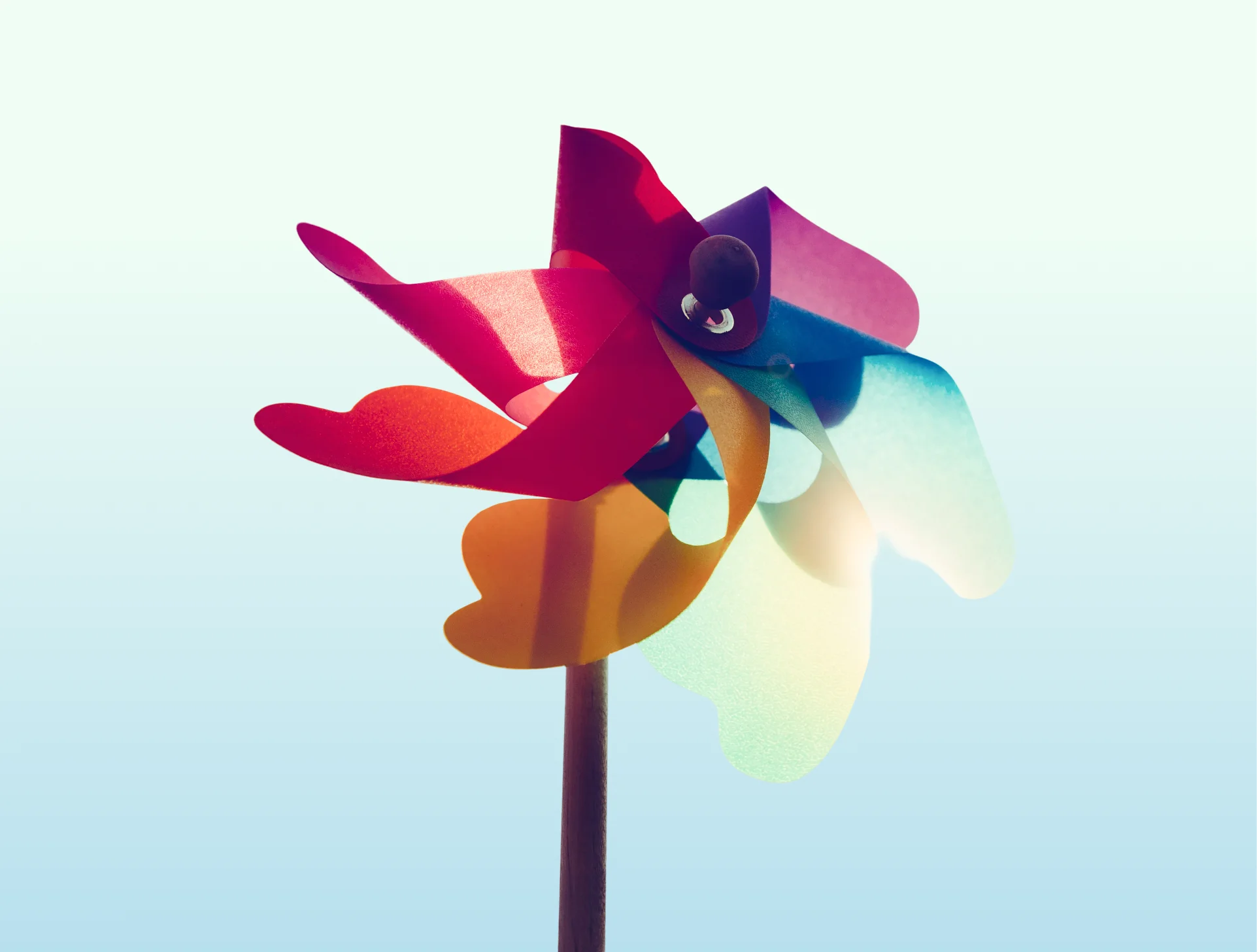 Sustainability Reporting